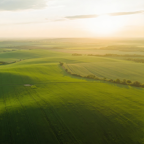 山東三元生物科技股份有限公司赤蘚糖醇生產(chǎn)線改造提升年產(chǎn)85000噸生物合成產(chǎn)品項(xiàng)目  第一次環(huán)境信息···